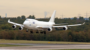 Ruby Star Boeing 747-412(BCF) (EW-511TQ) at  Dusseldorf - International, Germany