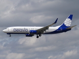 Belavia Belarus Airlines Boeing 737-82R (EW-527PA) at  Frankfurt am Main, Germany