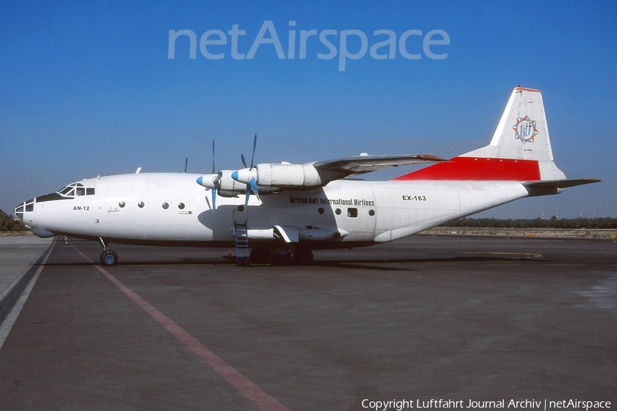 British Gulf Internatinoal Airlines Antonov An-12BK (EX-163) | Photo 405592