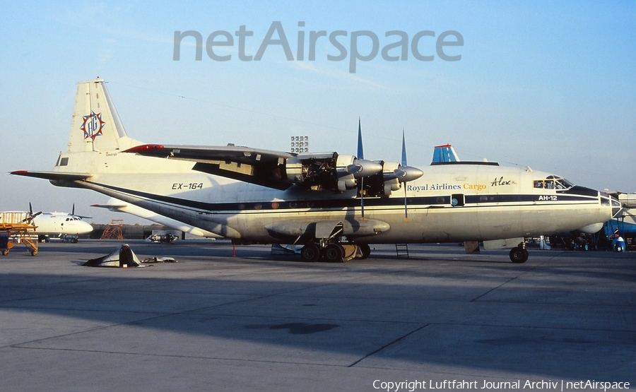 Royal Airlines Cargo (Pakistan) Antonov An-12B (EX-164) | Photo 405593