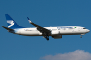 Turkmenistan Airlines Boeing 737-82K (EZ-A005) at  Frankfurt am Main, Germany