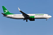 Turkmenistan Airlines Boeing 737-82K (EZ-A016) at  Istanbul - Ataturk, Turkey