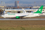 Turkmenistan Airlines Boeing 737-82K (EZ-A016) at  Istanbul - Ataturk, Turkey