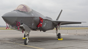 Royal Netherlands Air Force Lockheed Martin F-35A Lightning II (F-011) at  Malbork, Poland