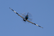 (Private) North American P-51D Mustang (F-AZSB) at  Hahnweide - Kirchheim unter Teck, Germany