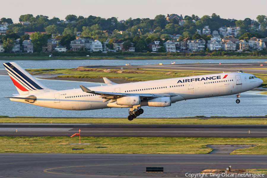 Air France Airbus A340-311 (F-GLZI) | Photo 386385