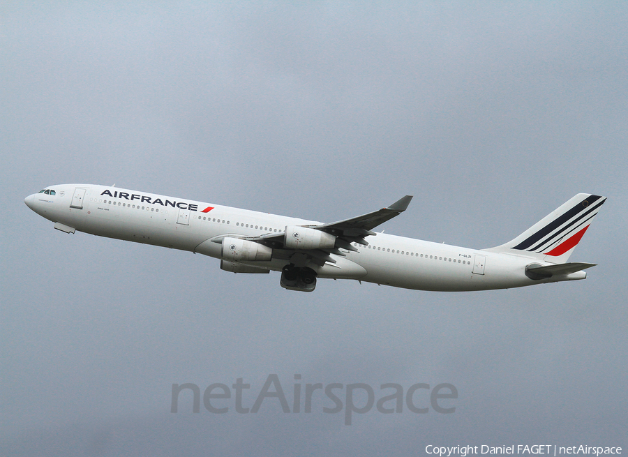 Air France Airbus A340-311 (F-GLZI) | Photo 243733
