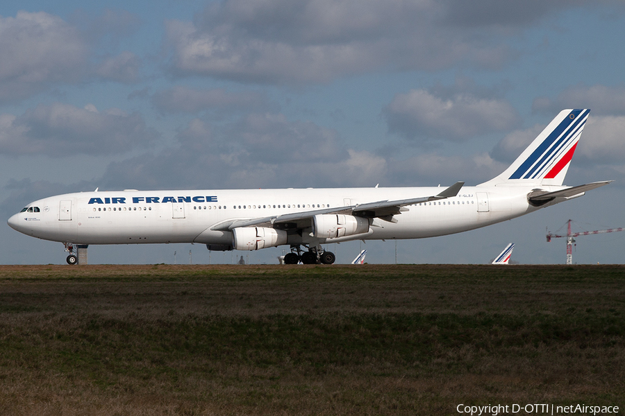 Air France Airbus A340-313X (F-GLZJ) | Photo 250071