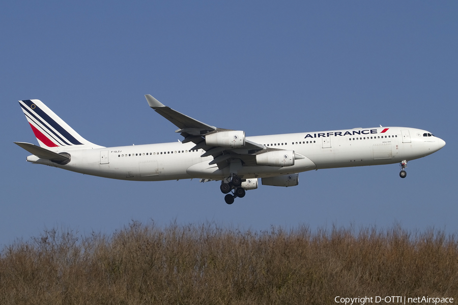 Air France Airbus A340-313X (F-GLZJ) | Photo 433495