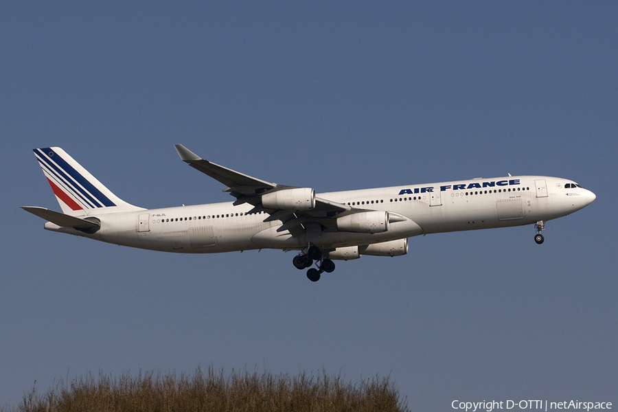 Air France Airbus A340-313X (F-GLZL) | Photo 272714