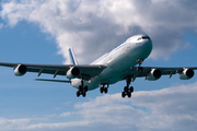 Air France Airbus A340-313X (F-GLZN) at  Philipsburg - Princess Juliana International, Netherland Antilles