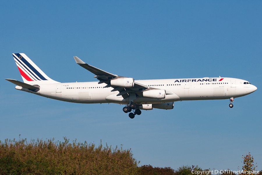 Air France Airbus A340-313X (F-GLZO) | Photo 372023