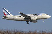 Air France Airbus A319-111 (F-GRXE) at  Paris - Charles de Gaulle (Roissy), France