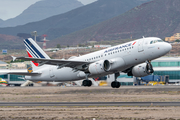 Air France Airbus A319-111 (F-GRXF) at  Tenerife Sur - Reina Sofia, Spain