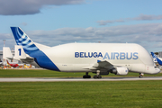 Airbus Transport International Airbus A300B4-608ST (F-GSTA) at  Hamburg - Finkenwerder, Germany