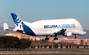 Airbus Transport International Airbus A300B4-608ST (F-GSTA) at  Getafe - Air Base, Spain