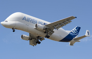 Airbus Transport International Airbus A300B4-608ST (F-GSTA) at  Toulouse - Blagnac, France