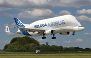 Airbus Transport International Airbus A300B4-608ST (F-GSTA) at  Hamburg - Finkenwerder, Germany