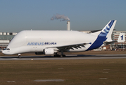 Airbus Transport International Airbus A300B4-608ST (F-GSTA) at  Hamburg - Finkenwerder, Germany