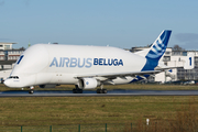 Airbus Transport International Airbus A300B4-608ST (F-GSTA) at  Hamburg - Finkenwerder, Germany