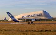 Airbus Transport International Airbus A300B4-608ST (F-GSTB) at  Hamburg - Finkenwerder, Germany