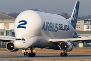 Airbus Transport International Airbus A300B4-608ST (F-GSTB) at  Hamburg - Finkenwerder, Germany