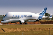 Airbus Transport International Airbus A300B4-608ST (F-GSTB) at  Campinas - Viracopos International, Brazil