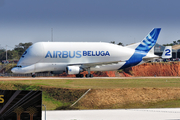 Airbus Transport International Airbus A300B4-608ST (F-GSTB) at  Campinas - Viracopos International, Brazil