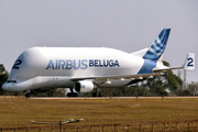 Airbus Transport International Airbus A300B4-608ST (F-GSTB) at  Campinas - Viracopos International, Brazil