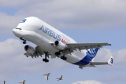 Airbus Transport International Airbus A300B4-608ST (F-GSTC) at  Hamburg - Finkenwerder, Germany