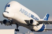 Airbus Transport International Airbus A300B4-608ST (F-GSTD) at  Hamburg - Finkenwerder, Germany