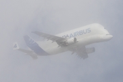 Airbus Transport International Airbus A300B4-608ST (F-GSTD) at  Hamburg - Fuhlsbuettel (Helmut Schmidt), Germany