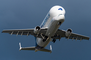 Airbus Transport International Airbus A300B4-608ST (F-GSTD) at  Hamburg - Finkenwerder, Germany