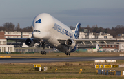 Airbus Transport International Airbus A300B4-608ST (F-GSTD) at  Hamburg - Finkenwerder, Germany