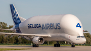 Airbus Transport International Airbus A300B4-608ST (F-GSTD) at  Hamburg - Finkenwerder, Germany