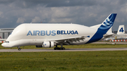 Airbus Transport International Airbus A300B4-608ST (F-GSTD) at  Hamburg - Finkenwerder, Germany