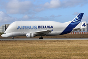 Airbus Transport International Airbus A300B4-608ST (F-GSTD) at  Hamburg - Finkenwerder, Germany