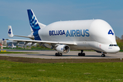 Airbus Transport International Airbus A300B4-608ST (F-GSTD) at  Hamburg - Finkenwerder, Germany