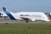 Airbus Transport International Airbus A300B4-608ST (F-GSTD) at  Hamburg - Finkenwerder, Germany