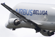 Airbus Transport International Airbus A300B4-608ST (F-GSTF) at  Hamburg - Finkenwerder, Germany