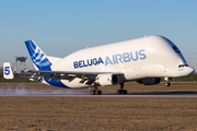 Airbus Transport International Airbus A300B4-608ST (F-GSTF) at  Hamburg - Finkenwerder, Germany