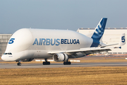 Airbus Transport International Airbus A300B4-608ST (F-GSTF) at  Hamburg - Finkenwerder, Germany