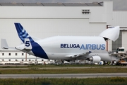 Airbus Transport International Airbus A300B4-608ST (F-GSTF) at  Hamburg - Finkenwerder, Germany