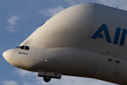 Airbus Transport International Airbus A300B4-608ST (F-GSTF) at  Hamburg - Finkenwerder, Germany