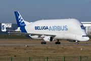 Airbus Transport International Airbus A300B4-608ST (F-GSTF) at  Hamburg - Finkenwerder, Germany