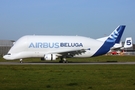 Airbus Transport International Airbus A300B4-608ST (F-GSTF) at  Hamburg - Finkenwerder, Germany