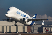 Airbus Transport International Airbus A300B4-608ST (F-GSTF) at  Hamburg - Finkenwerder, Germany