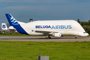 Airbus Transport International Airbus A300B4-608ST (F-GSTF) at  Hamburg - Finkenwerder, Germany