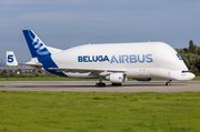 Airbus Transport International Airbus A300B4-608ST (F-GSTF) at  Hamburg - Finkenwerder, Germany