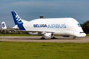 Airbus Transport International Airbus A300B4-608ST (F-GSTF) at  Hamburg - Finkenwerder, Germany